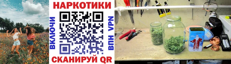 Купить закладку СОЛЬ  Бошки Шишки  МЕФ  Галлюциногенные грибы  ГАШ  Мончегорск