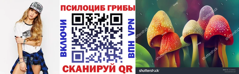 Псилоцибиновые грибы Cubensis  Купить  Мончегорск 